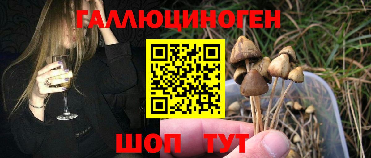 Гатчина  Галлюциногенные грибы Psilocybine cubensis  купить закладку  Вход с VPN 