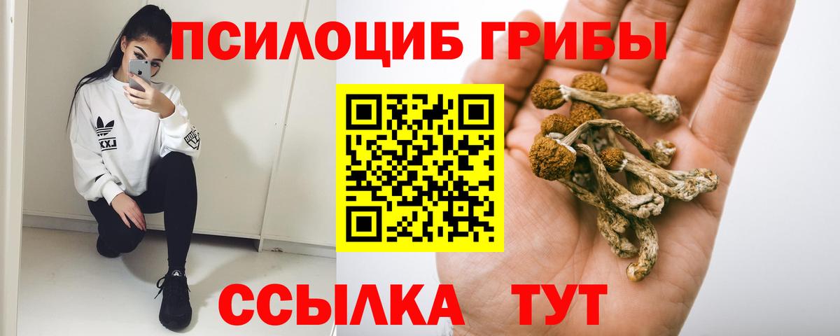 Галлюциногенные грибы мухоморы Гатчина